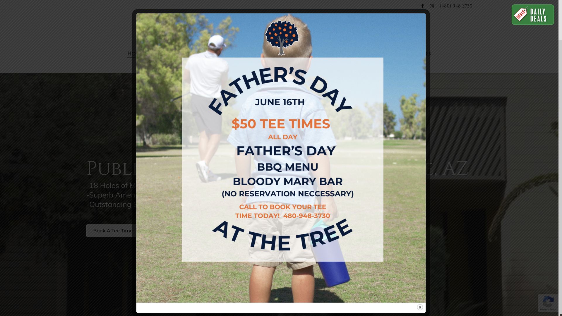 Golf Course Company Orange Tree Golf Resort